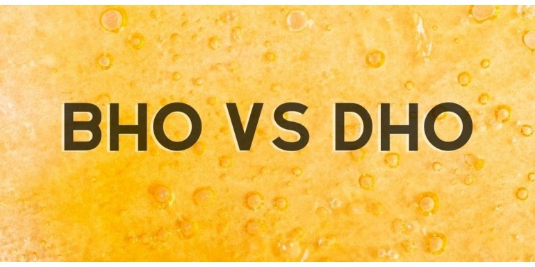 Principales diferencias entre BHO y DHO